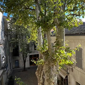 Appartement La Charmante Du Palais Des Papes, Avignon